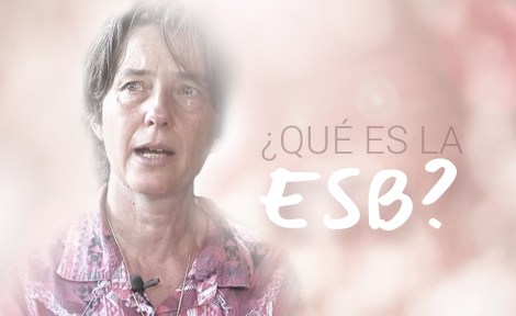 What is ESB? -video thumbnail
